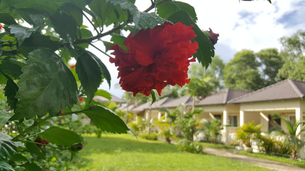 The Moonflower Bungalow Hotel Сиханоуквил Екстериор снимка